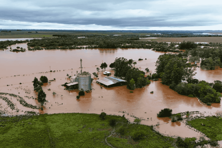Programa de renegociação de dívida rural alcança R$ 7,5 bilhões