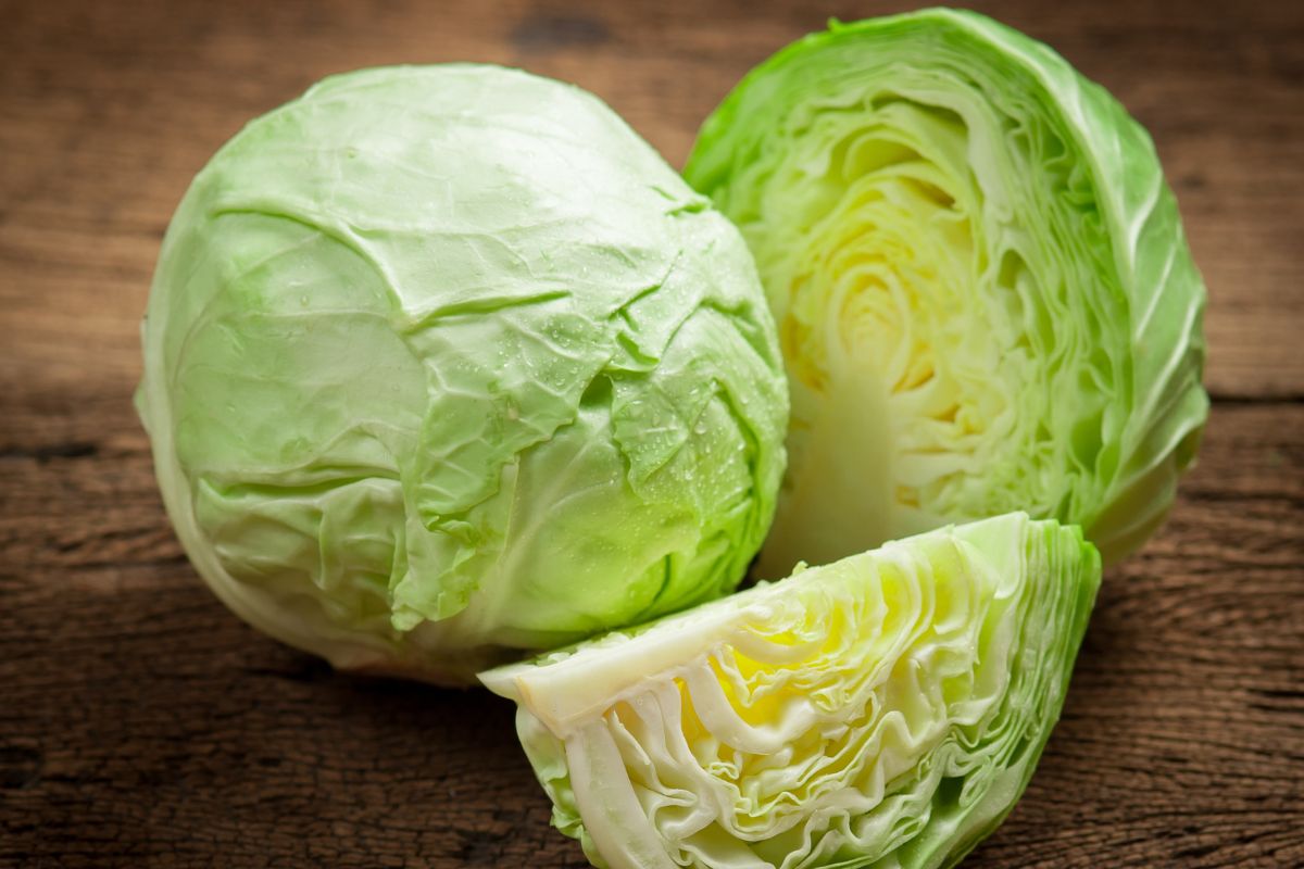 repolho branco e roxo