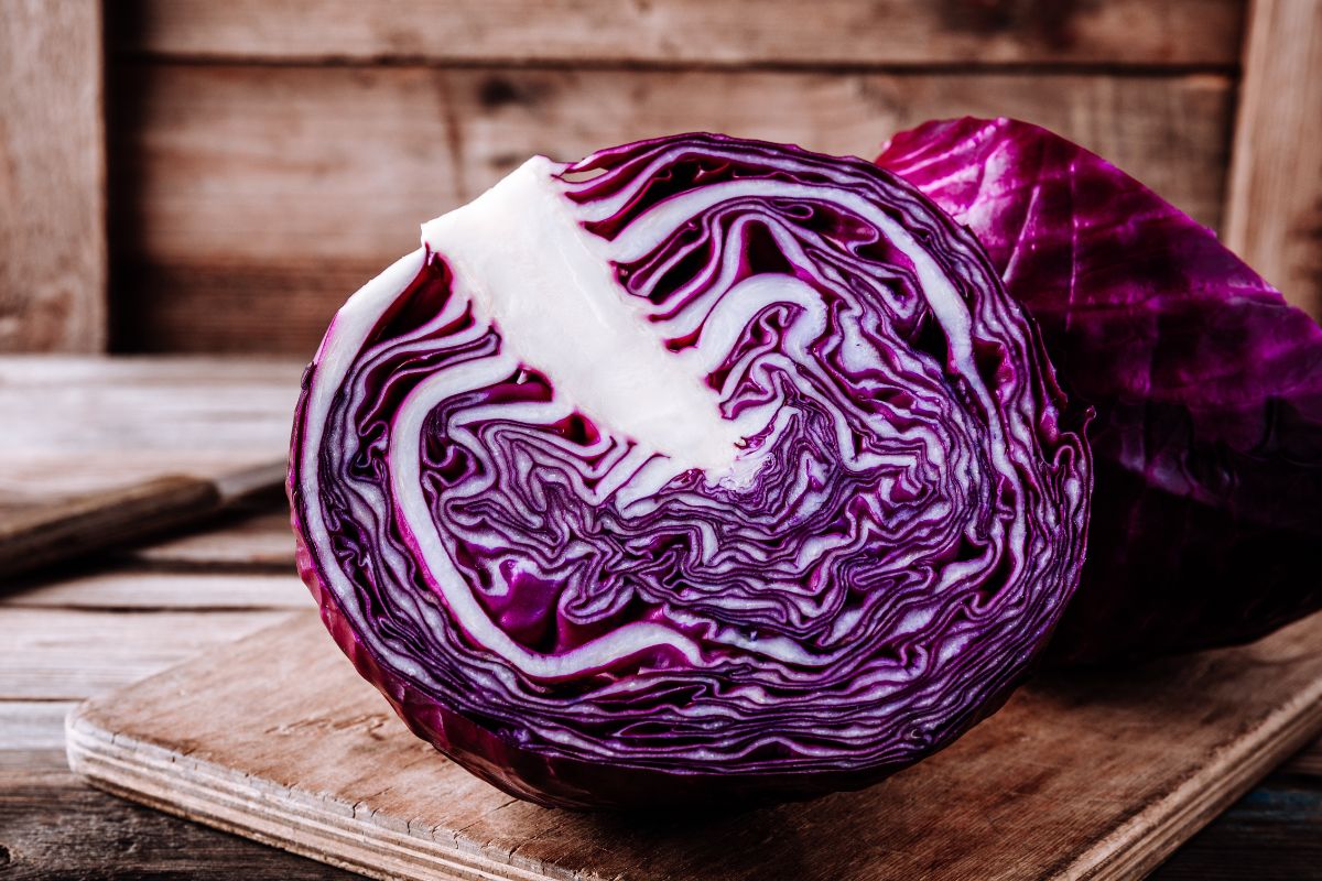 repolho branco e roxo