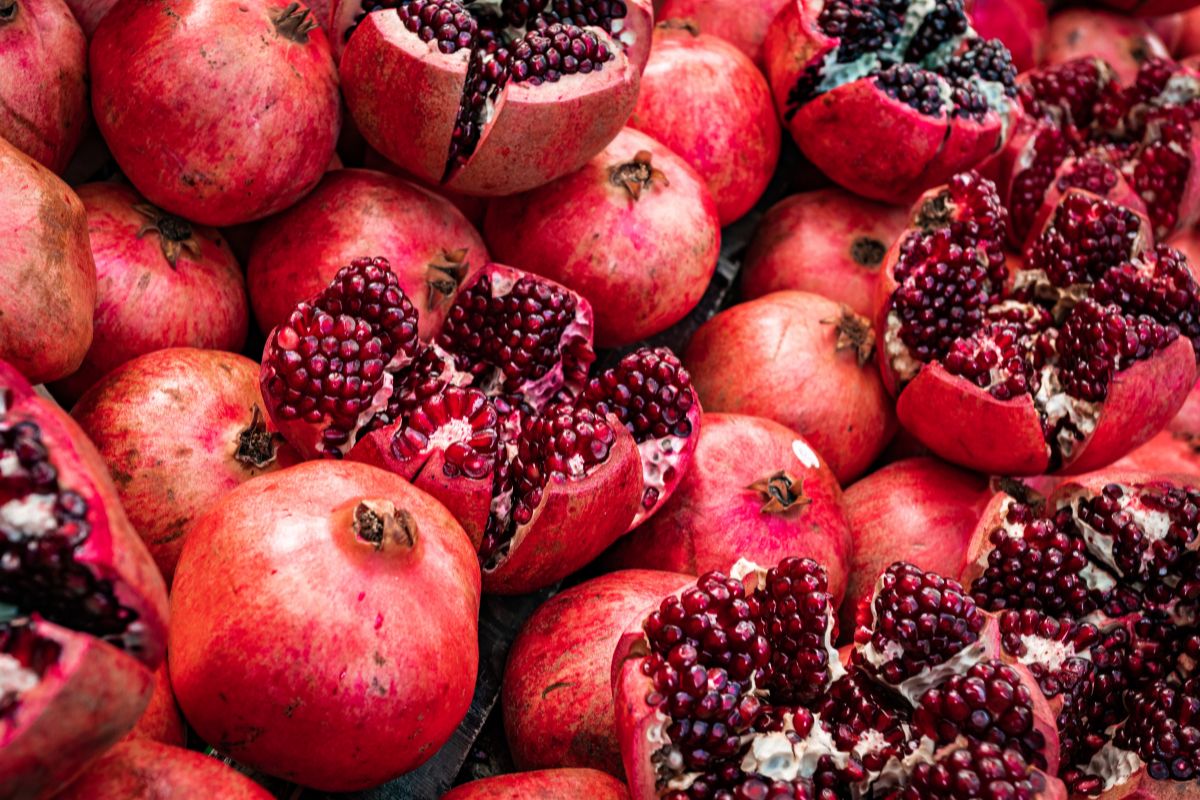 como cultivar romã