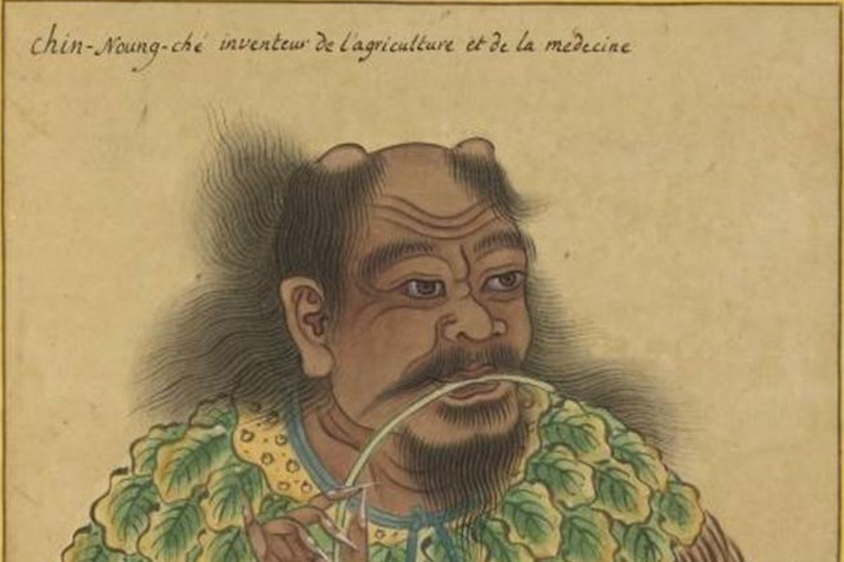 Shennong