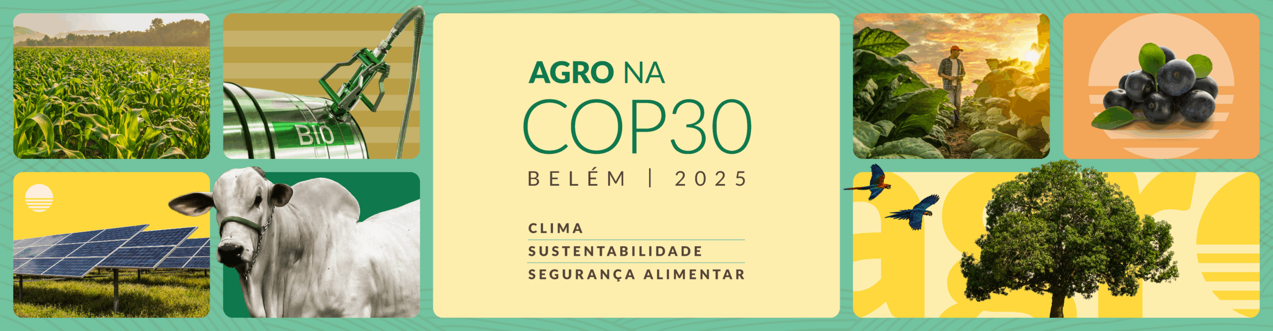 Banner Topo Categoria Agro na COP10