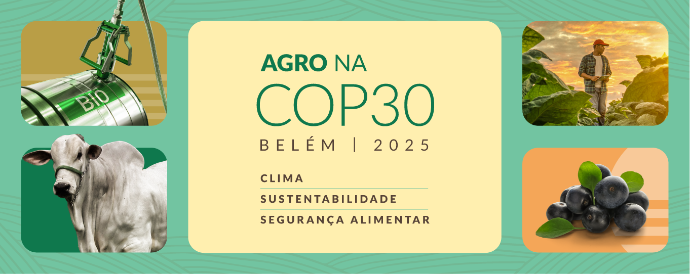 Banner Topo Post Agro na COP10