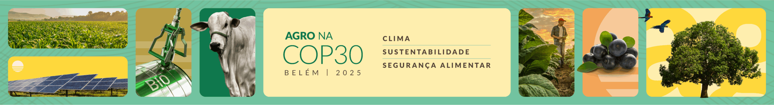 Banner Topo Post Agro na COP10