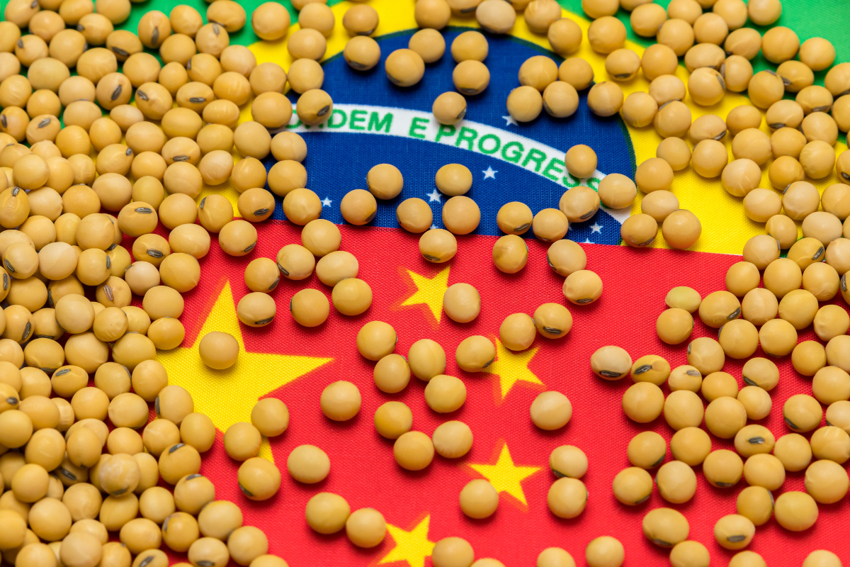 Foto: Adobe Stock