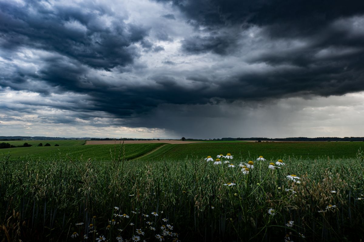 Nuvens carregadas já provocam chuva sobre a Fronteira Oeste do Rio Grande do Sul nesta sexta-feira, 24. Foto: Adobe Stock