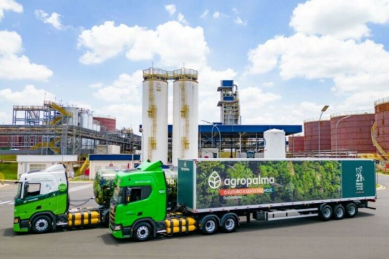 Após 15 anos, Agropalma retoma produção de biodiesel com nova usina em Belém