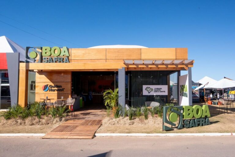 Boa Safra triplica faturamento com outras culturas e aposta em sorgo e milho