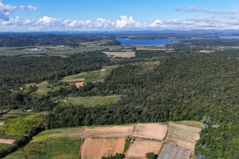 Produtores rurais preservam 29% da vegetação nativa no Brasil, aponta Embrapa