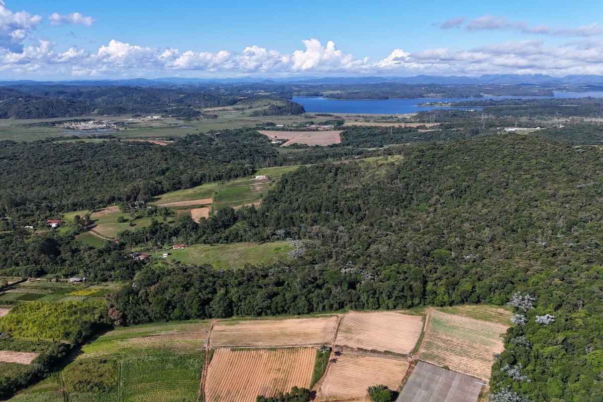 Segundo Embrapa, Brasil apresenta condição única, ao usar 31% do território para a agricultura e manter vegetação nativa em 65%. Foto: Adobe Stock