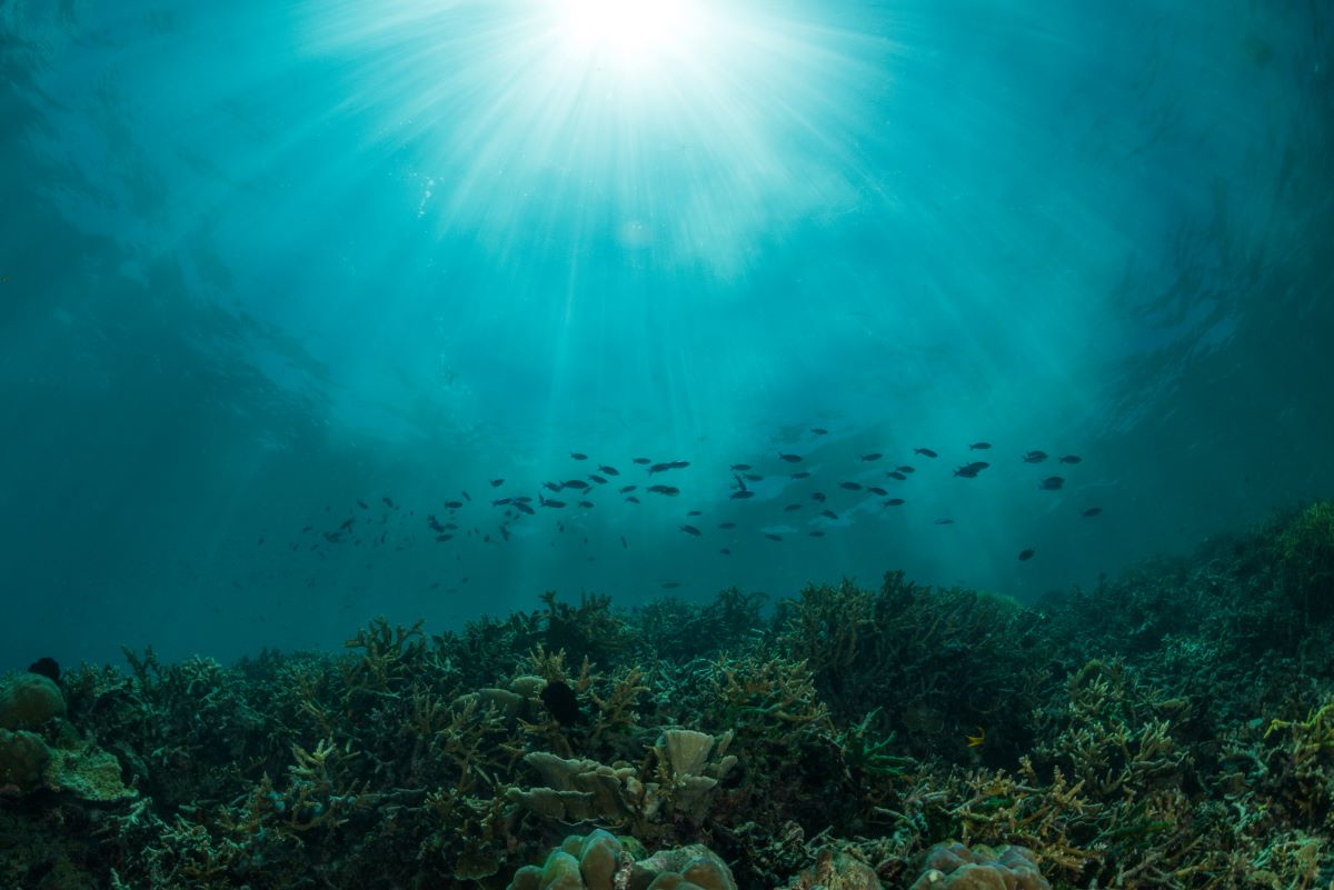 Pacífico pode aquecer, mas ainda não há elementos que permitam confirmar El Niño. Foto: Adobe Stock