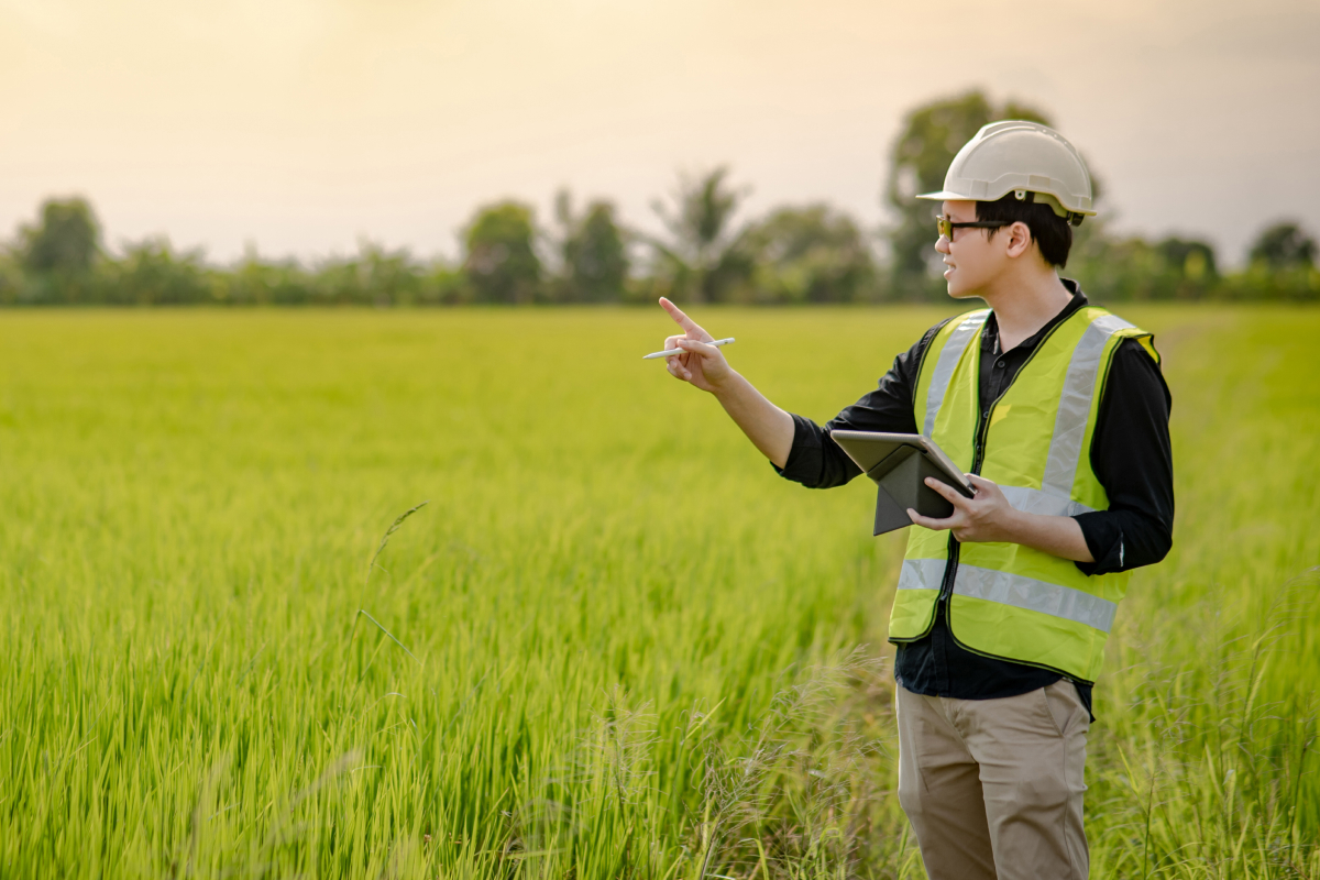 graduações do agronegócio