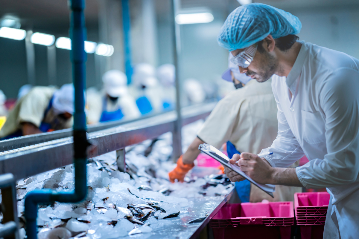 graduações do agronegócio