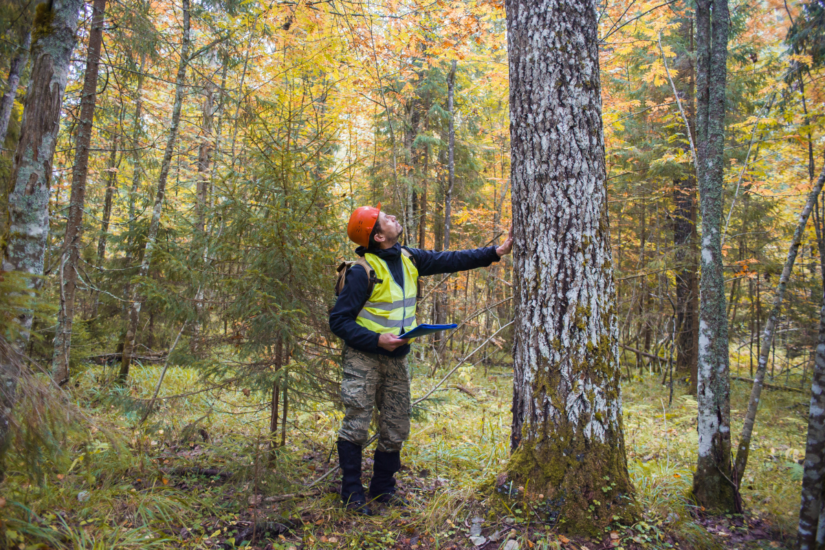 graduações do agronegócio