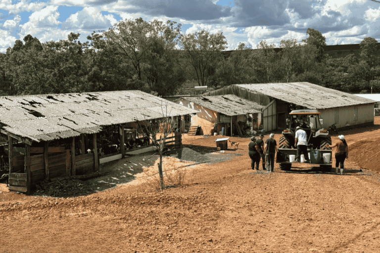 Áreas agrícolas têm prejuízos milionários após temporais em SC e RS
