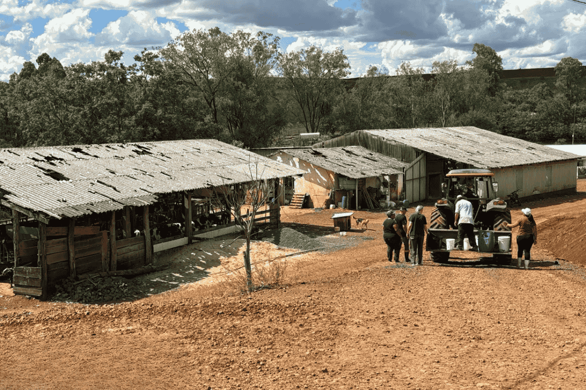 Estruturas de telhados ficaram comprometidas em regiões rurais de Erechim (RS). Foto: Emater-RS/Divulgação