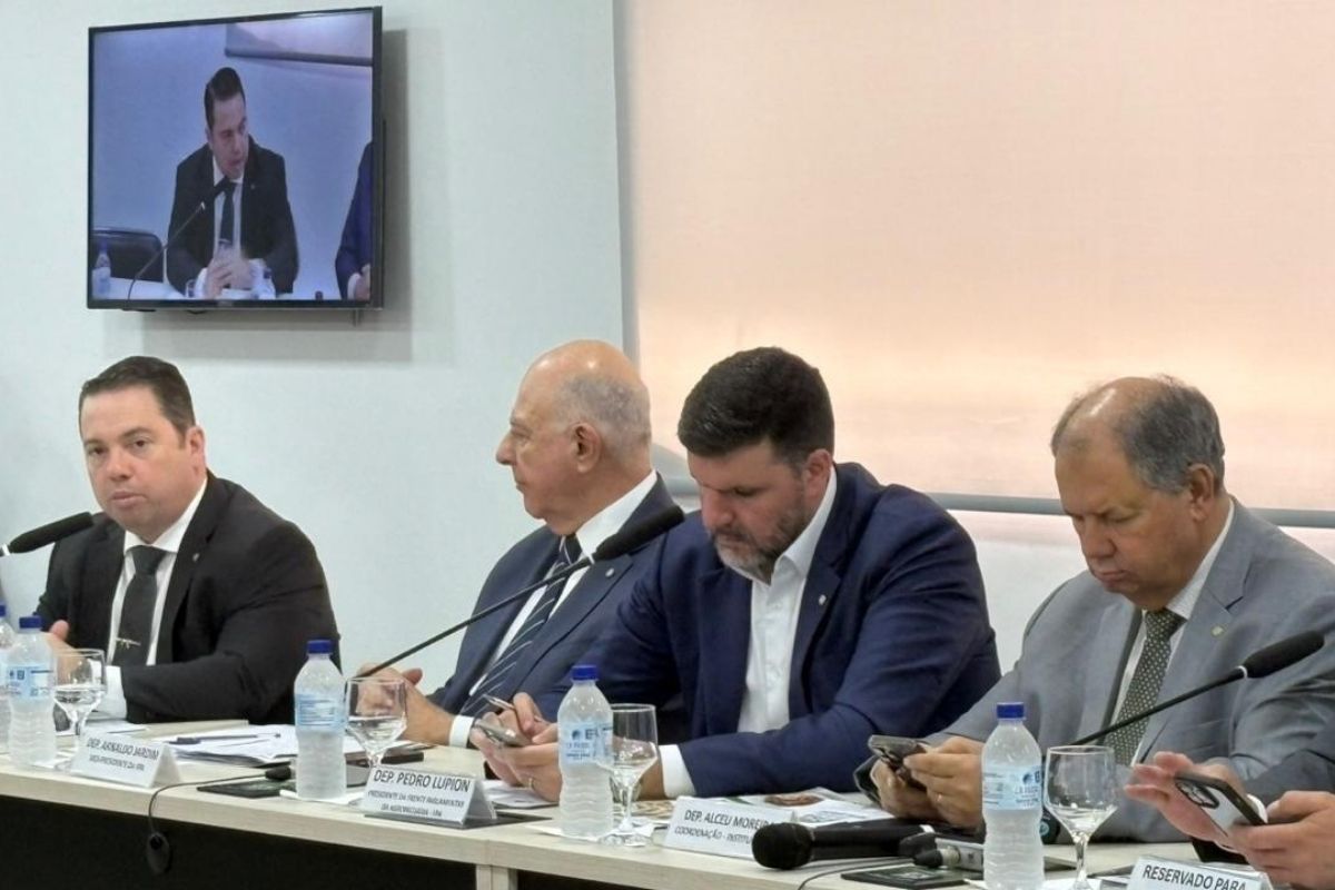 Foto: Paloma Santos/ Agro Estadão