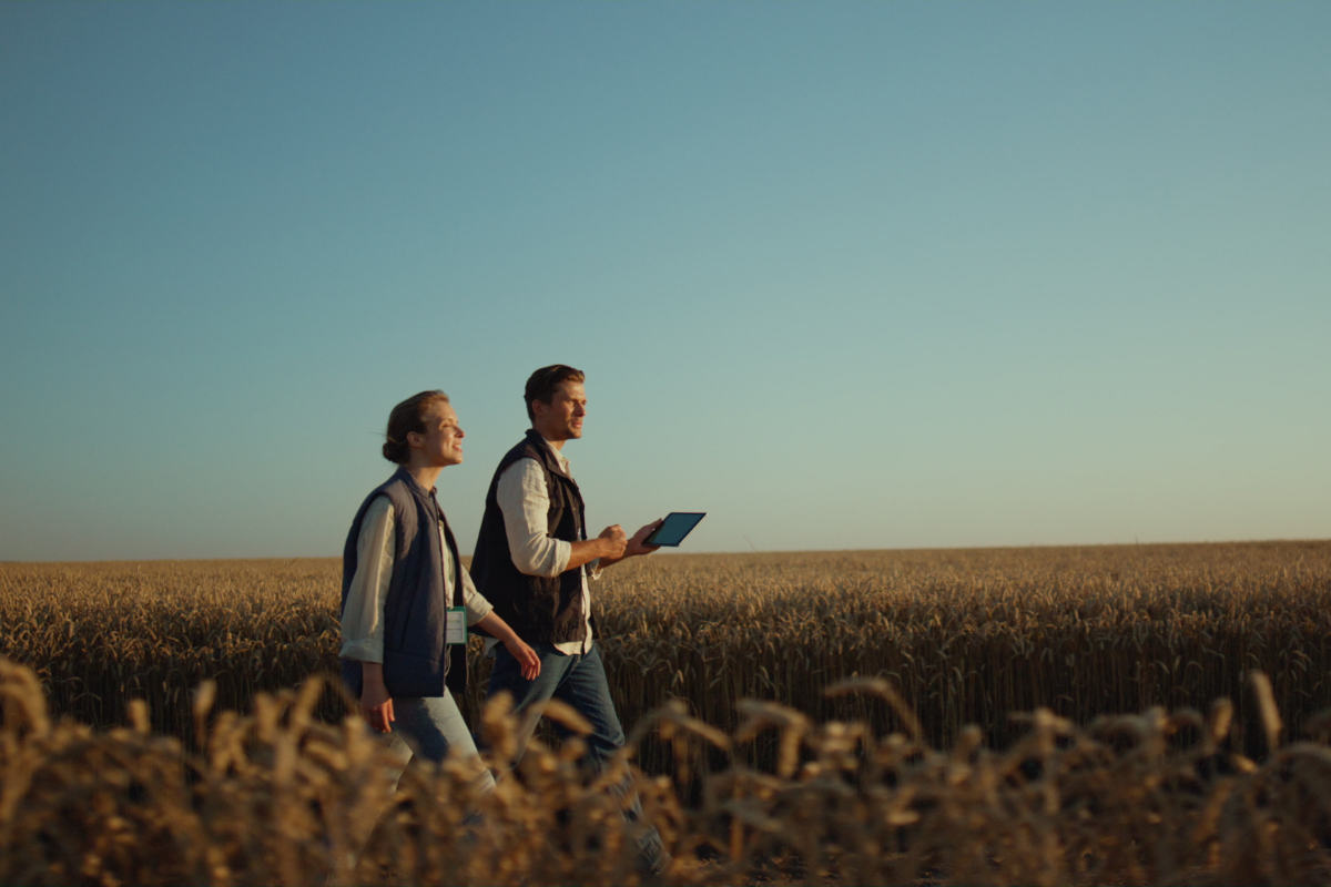 graduações do agronegócio