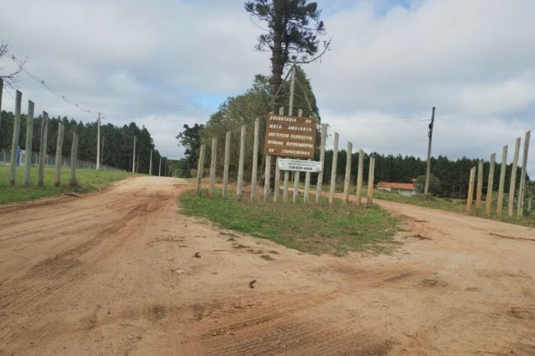 Justiça amplia decisão que impede Governo de SP de vender áreas de pesquisas