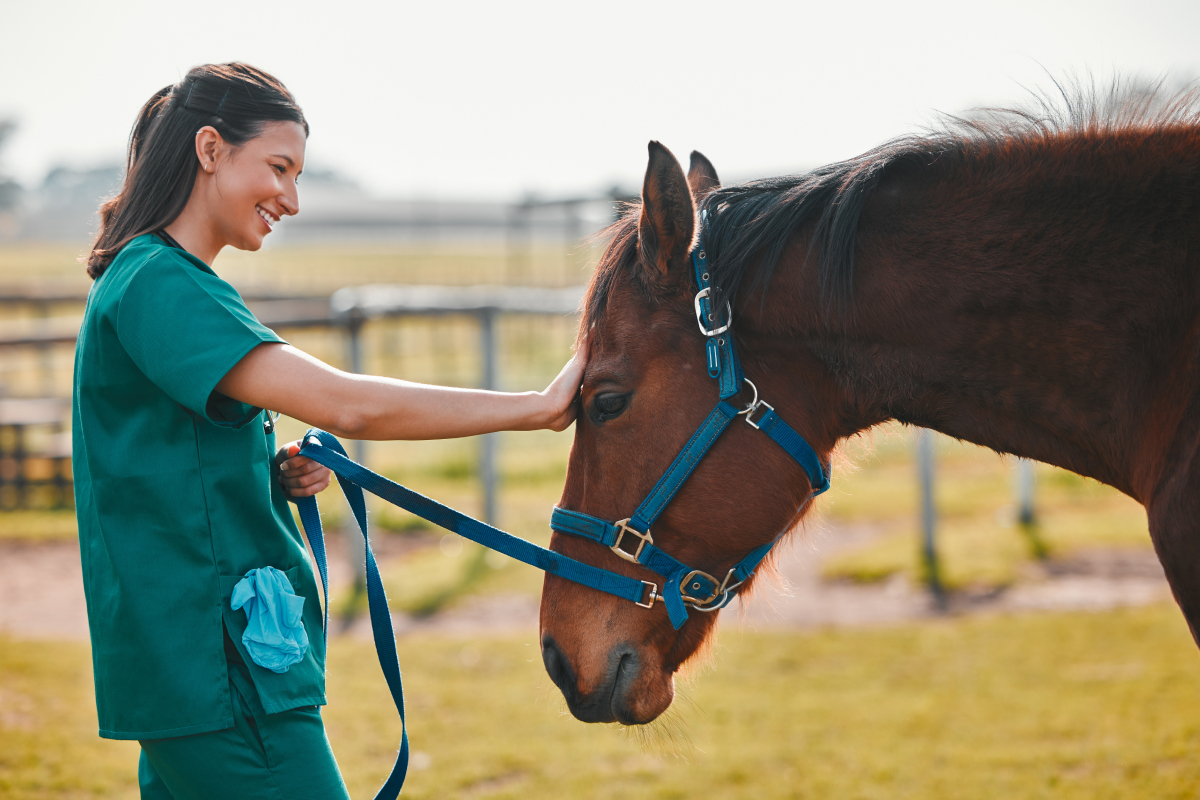 graduações do agronegócio