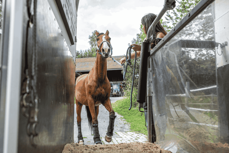 Passaporte Sanitário Equestre começa a valer em MG; veja o que muda