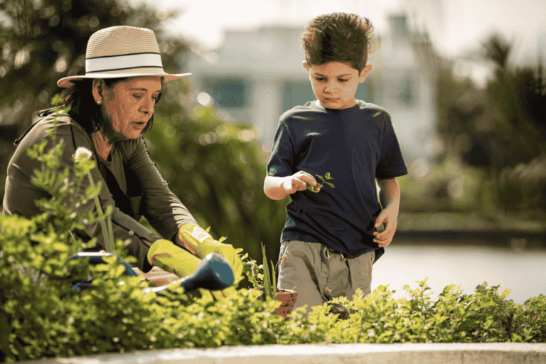 Plantas fáceis de cultivar em hortas na sua casa