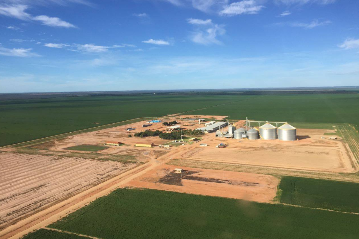 A Fazenda Paladino está localizada em São Desidério, na Bahia. Foto: Redes Sociais/Reprodução