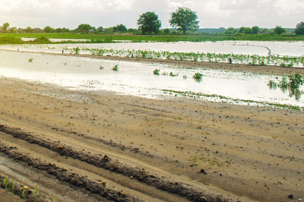 Projeto busca oferecer proteção adicional em eventos climáticos extremos. Foto: Adobe Stock