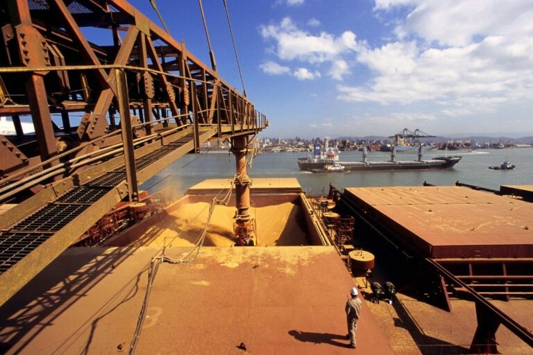 Anec projeta salto de 114% nas exportações de soja em janeiro; milho recua 11%