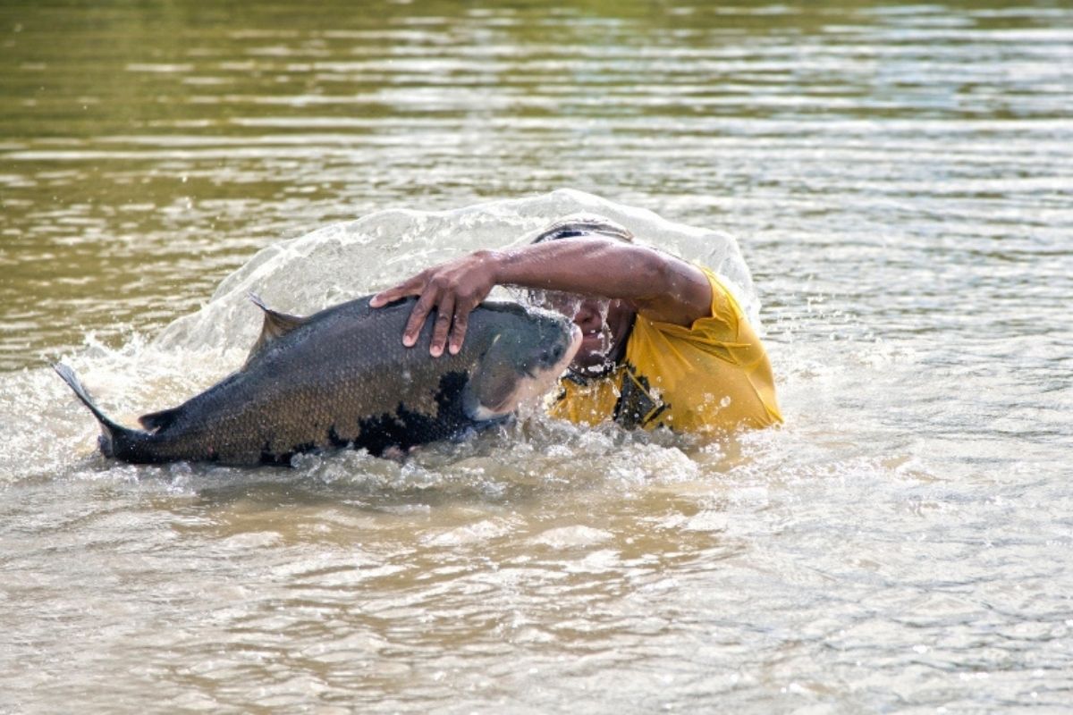 Foto: Jefferson Christofoletti