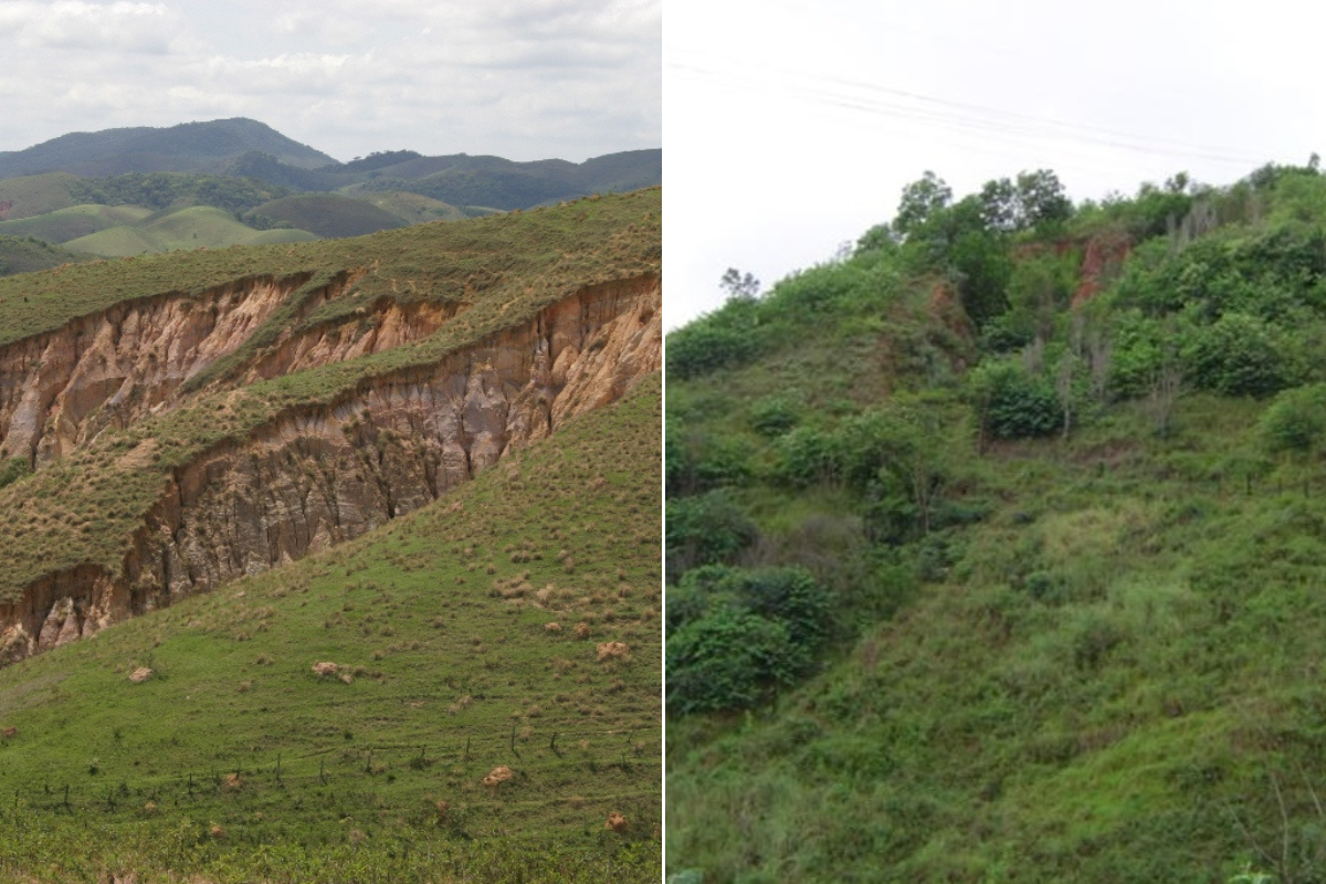 Evolução de voçoroca antes e depois de uso da tecnologia. Foto: Embrapa/Divulgação