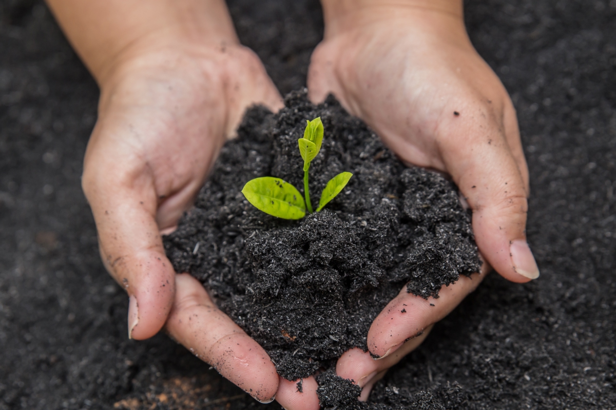 Iniciativa Global RAIZ