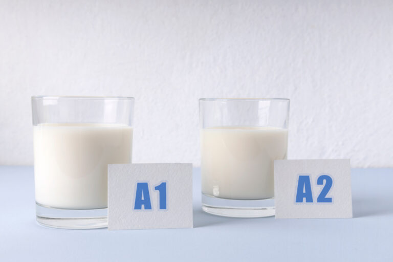 Leite A2: entenda os benefícios e como incluir em sua produção