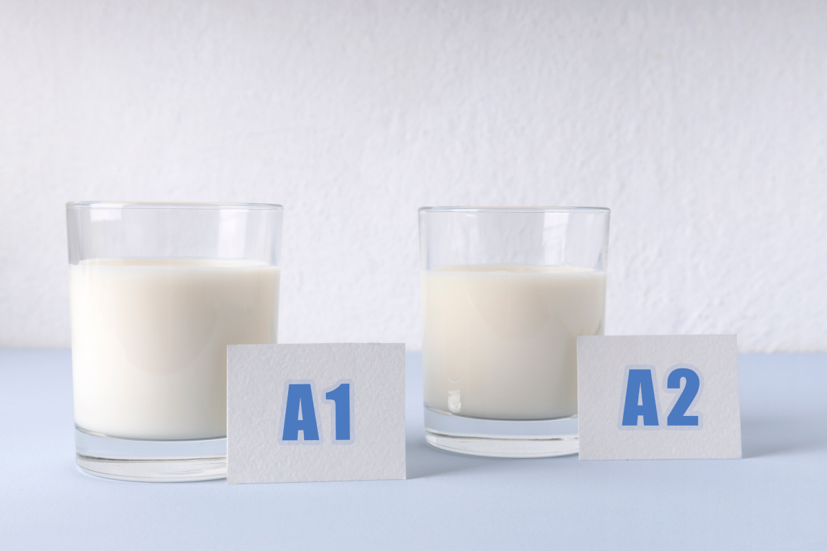 leite A2