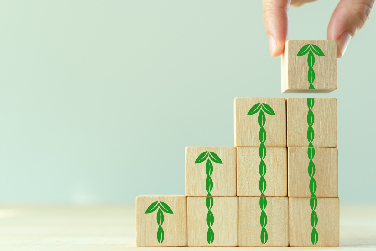 taxonomia sustentável