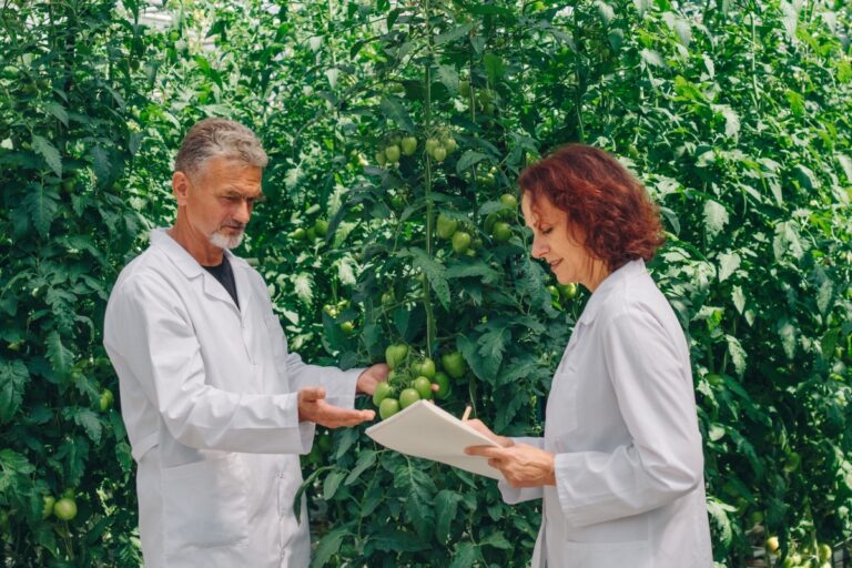 Rastreabilidade da produção sustentável: o futuro do agro brasileiro