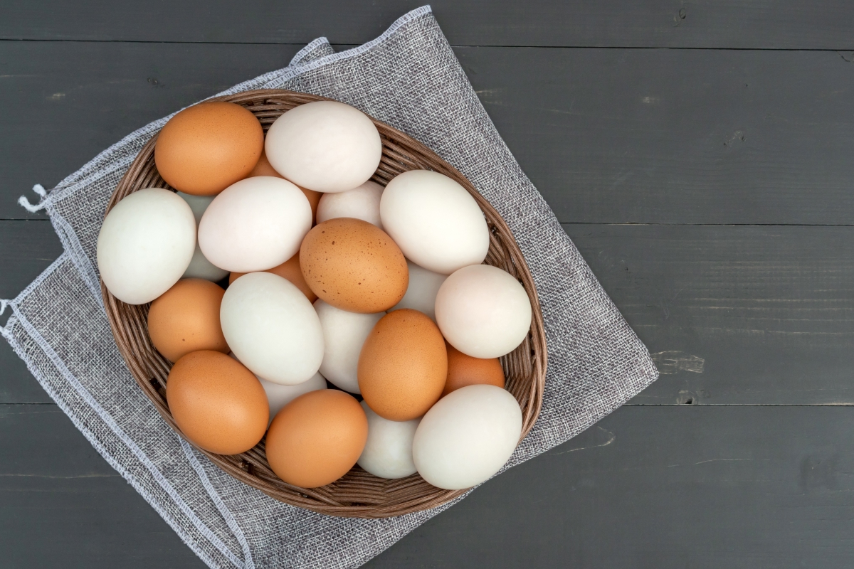 diferença entre ovos brancos e marrons