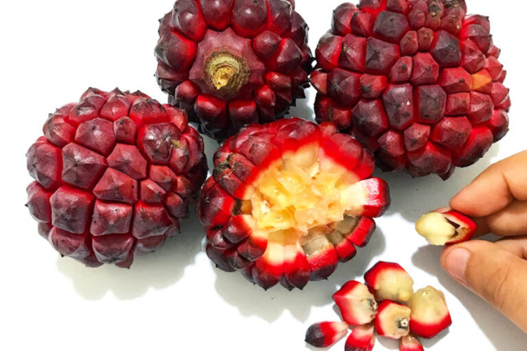 Você sabia que pindaíba é uma fruta? Veja a origem do ditado popular