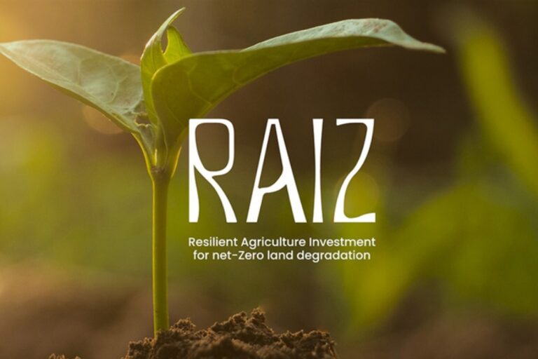 Recuperação de áreas degradadas: desvendando a Iniciativa Global Raiz