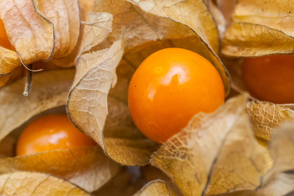 frutas mais caras vendidas no Brasil