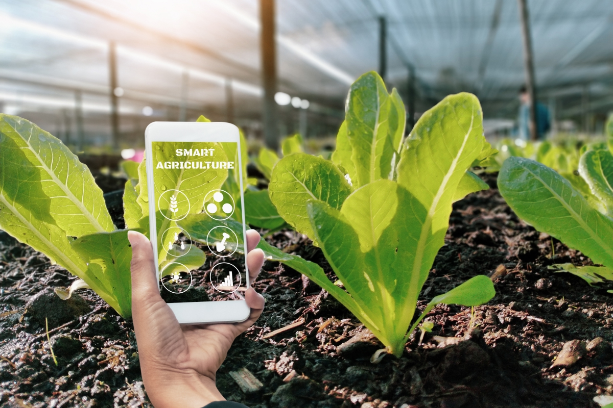 Rastreabilidade da produção sustentável