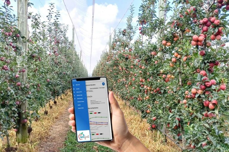 Aplicativo ajuda produtores a acertar na dose de água e adubo das macieiras