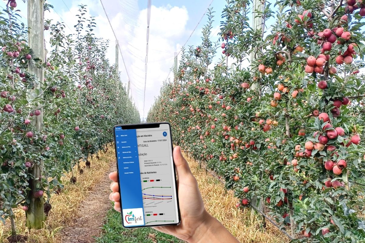 Aplicativo visa contribuir para economia de insumos, regularidade da safra e melhoria de qualidade. Foto: Gilmar Nachtigall