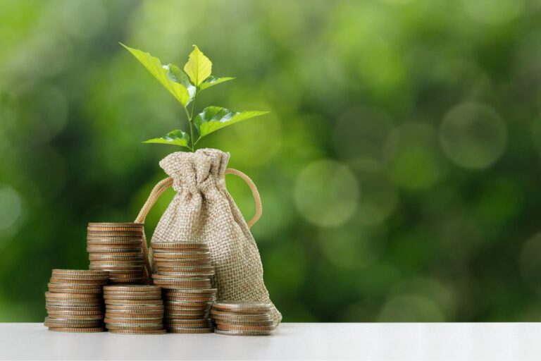 Campo sustentável: entenda o que é bioeconomia