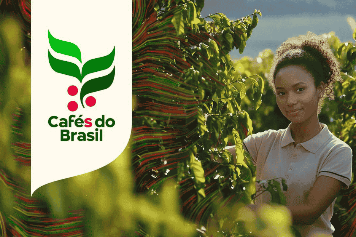 cafés do Brasil