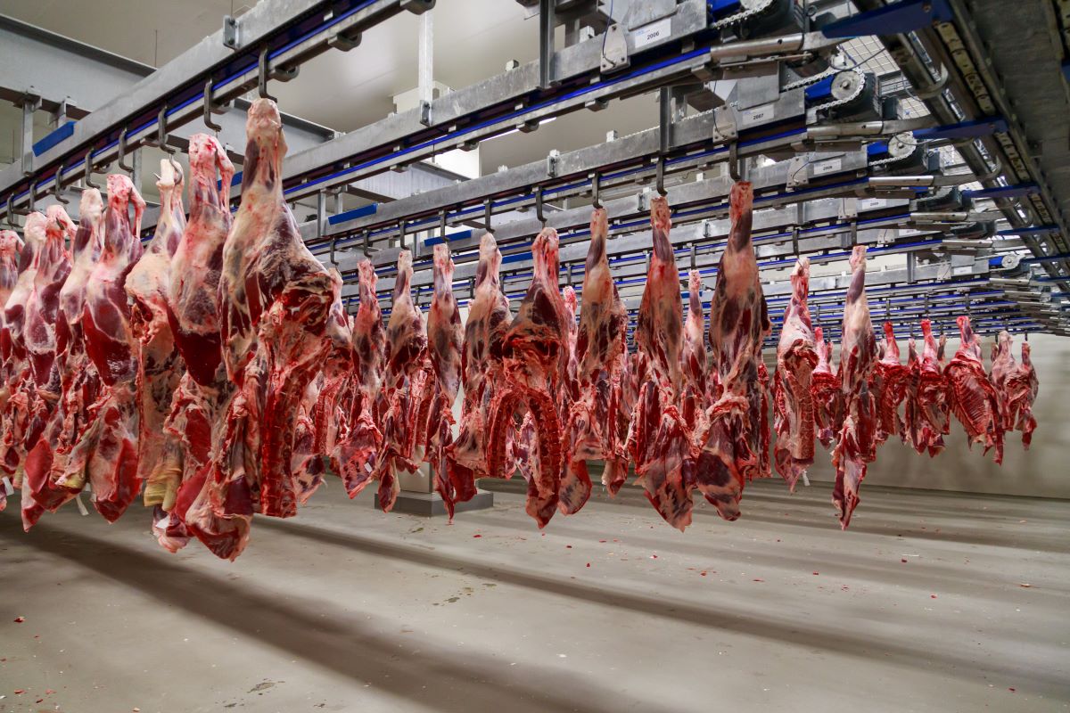 Um dos rumores foi sobre possível aplicação de medidas contra as importações de carne bovina, incluindo o Brasil. Foto: Adobe Stock