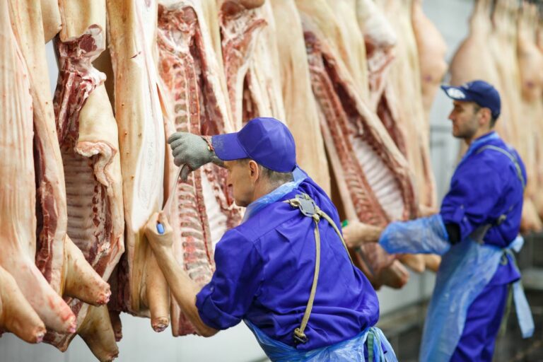 Exportações de carne suína crescem 10,1% em volume em outubro