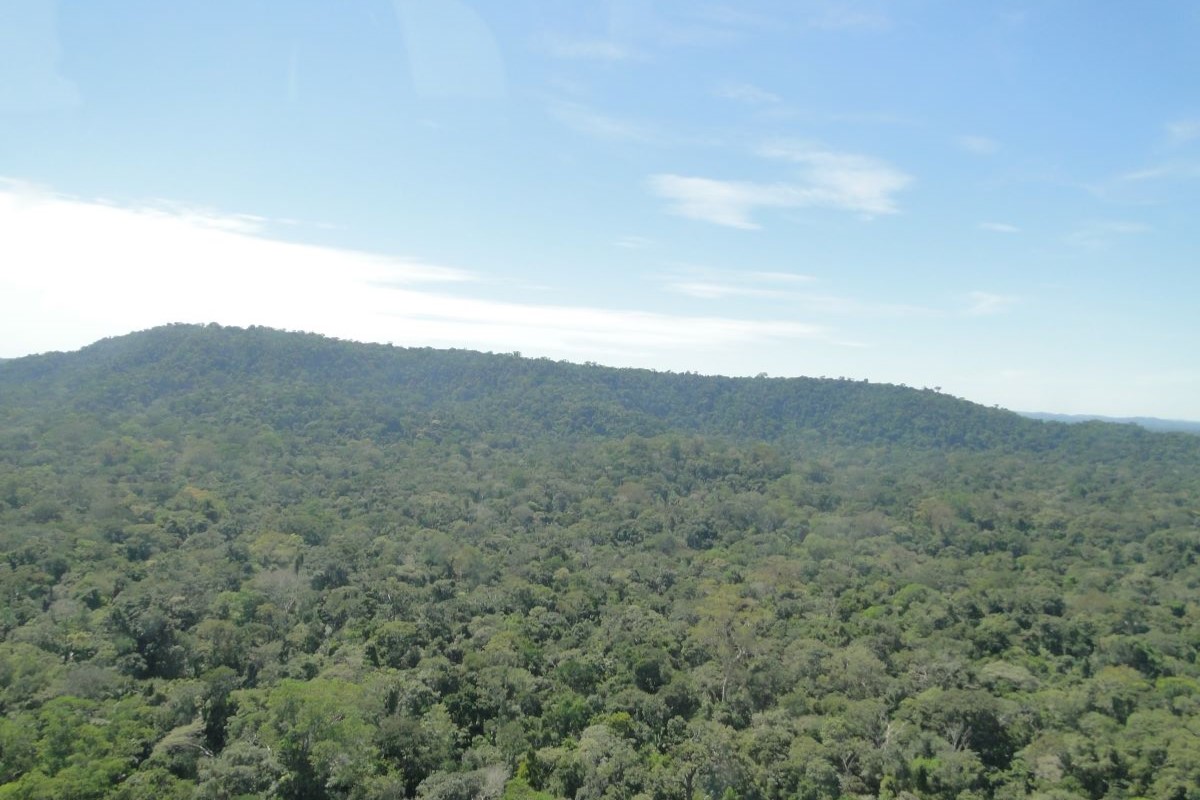 Área concedida é a Floresta Nacional do Bom Futuro, em Porto Velho (RO). Foto: ICMBio/Divulgação