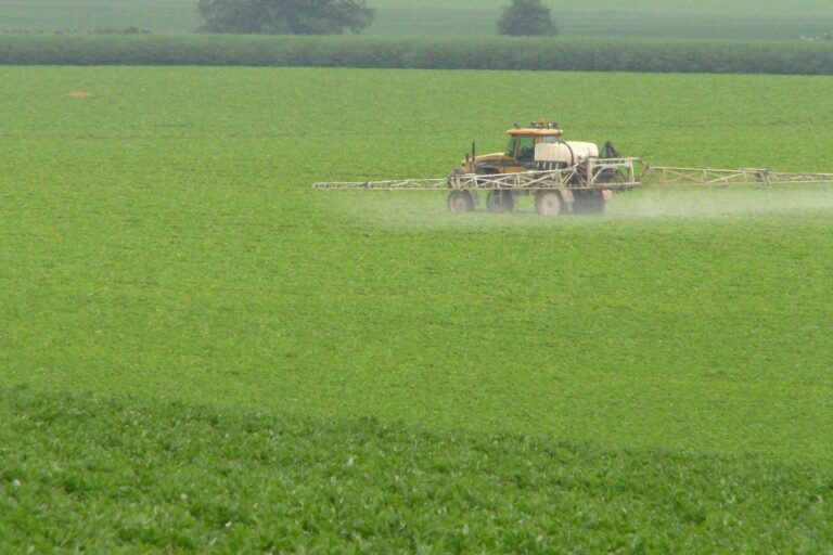 Conheça o uso estratégico de defensivos agrícolas