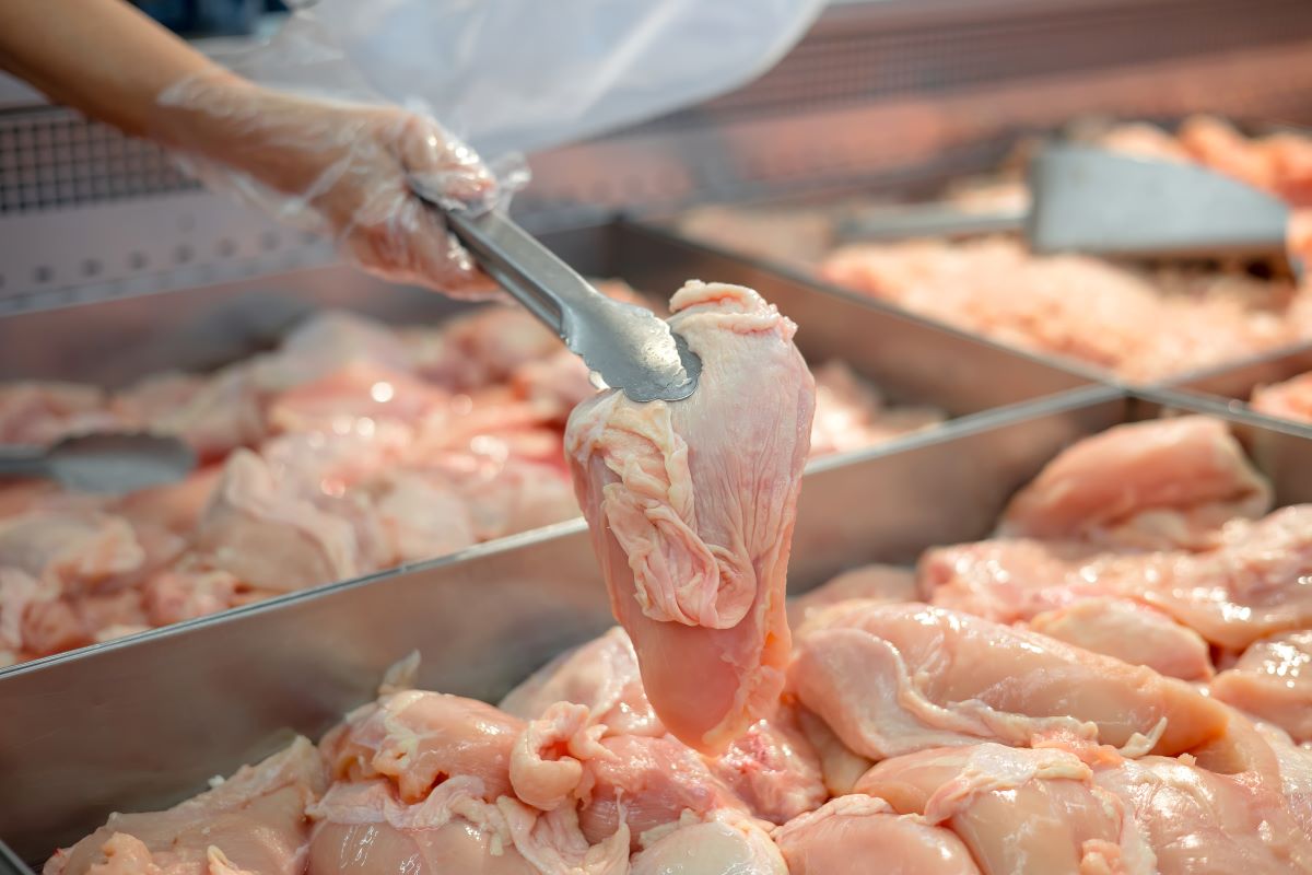 Vendas de frango brasileiro à Argentina ficaram suspensas de 16 de maio a 4 de julho. Foto: Adobe Stock